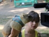 Детский контактный зоопарк «Лукоморье» в Казанском зооботсаду пополнился новыми обитателями – 4 сурками